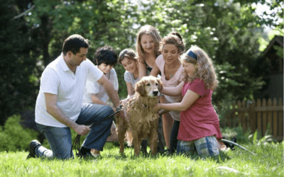 Special Offer: Hundecoaching für Familien
